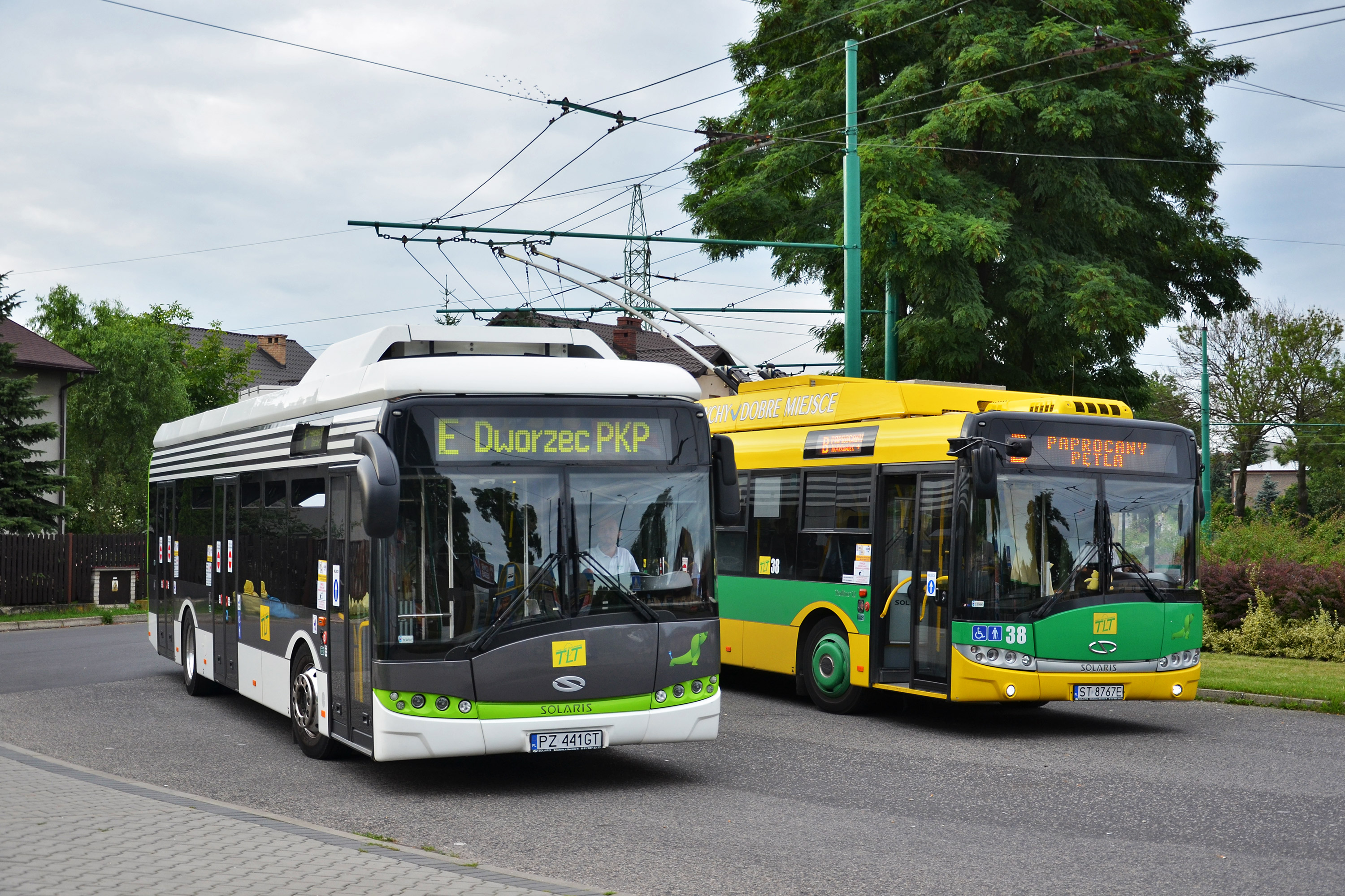 Solaris Trollino 12MB nr 38 oraz Solaris Urbino 12 Electric